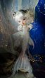 Photo1: mermaid-snow fish (1)