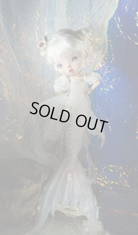 Photo1: mermaid-snow fish (1)