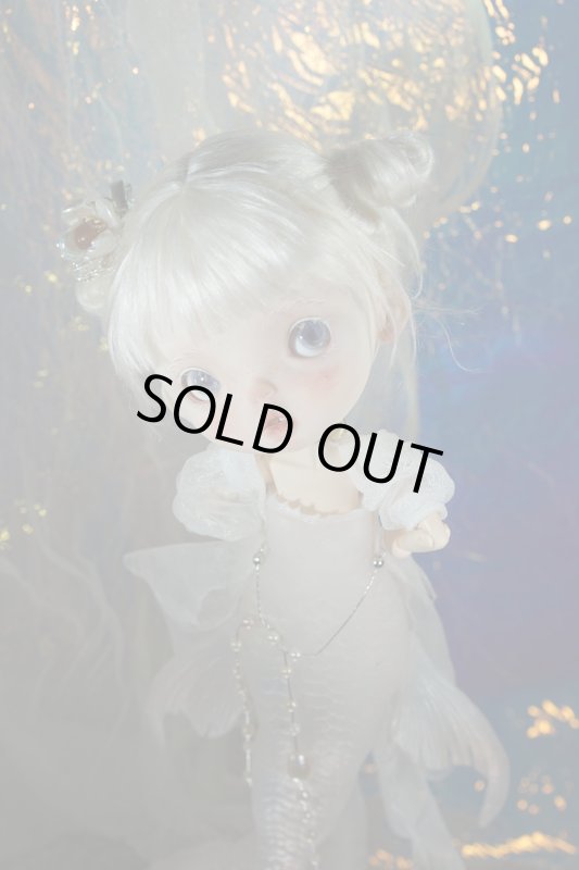 Photo2: mermaid-snow fish (2)