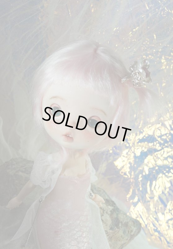 Photo2: mermaid-Coral angelfish (2)