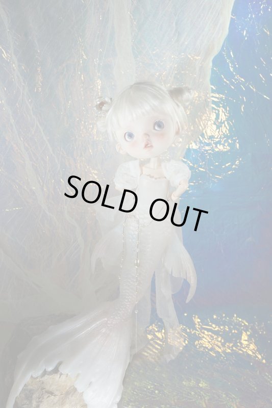 Photo3: mermaid-snow fish (3)